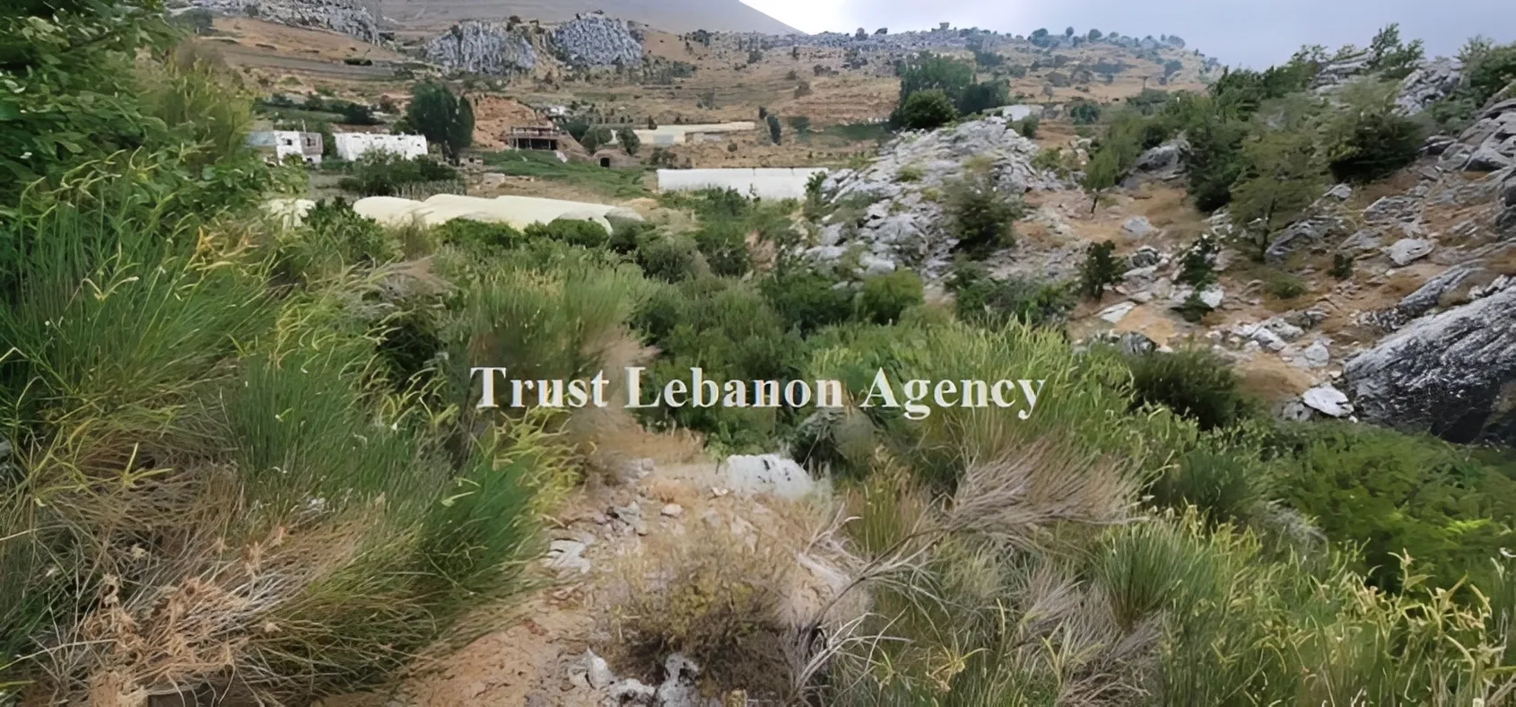 Land for Sale in Keserwan Amez Lebanon