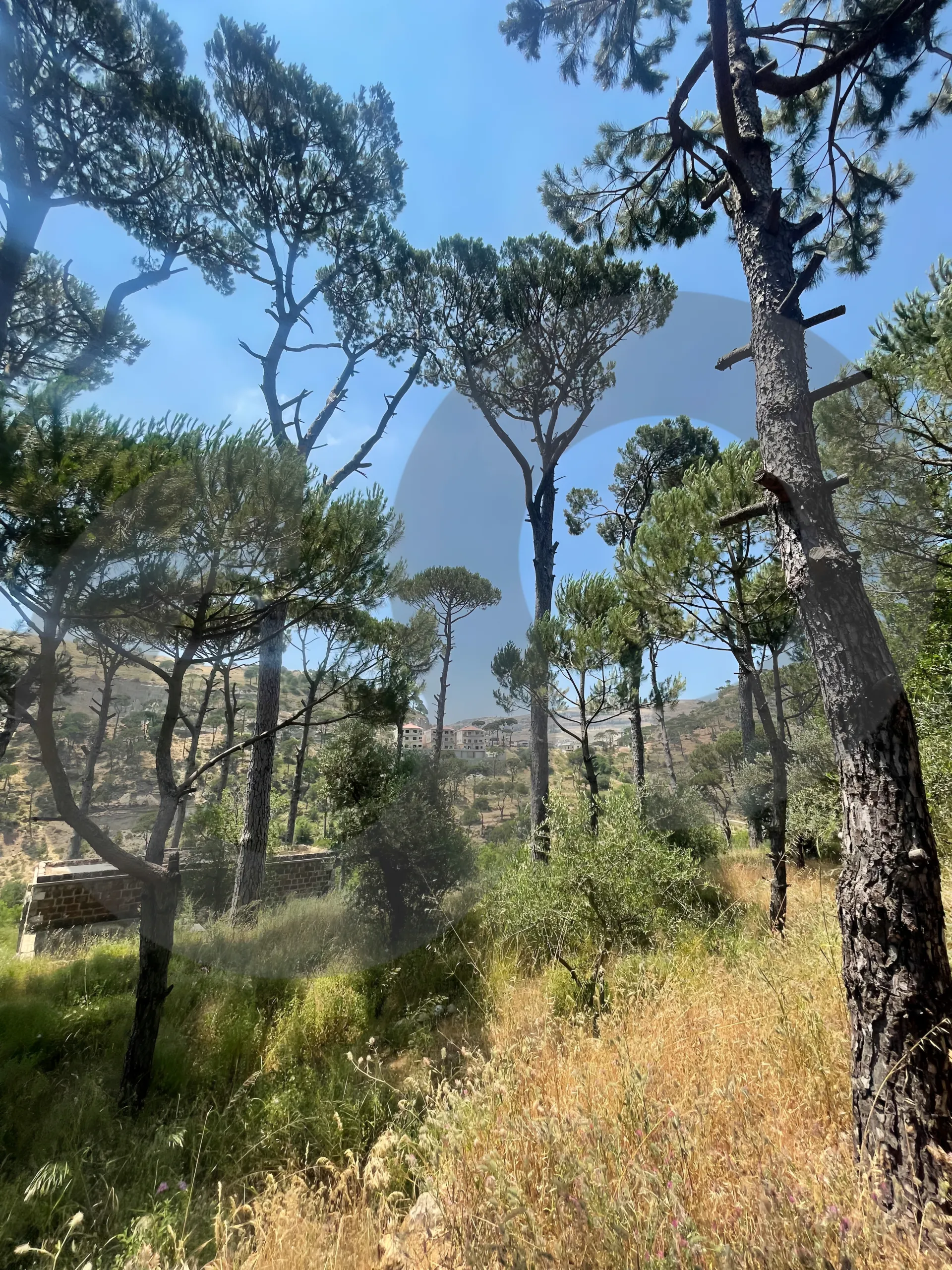 Land for Sale in Saoufar