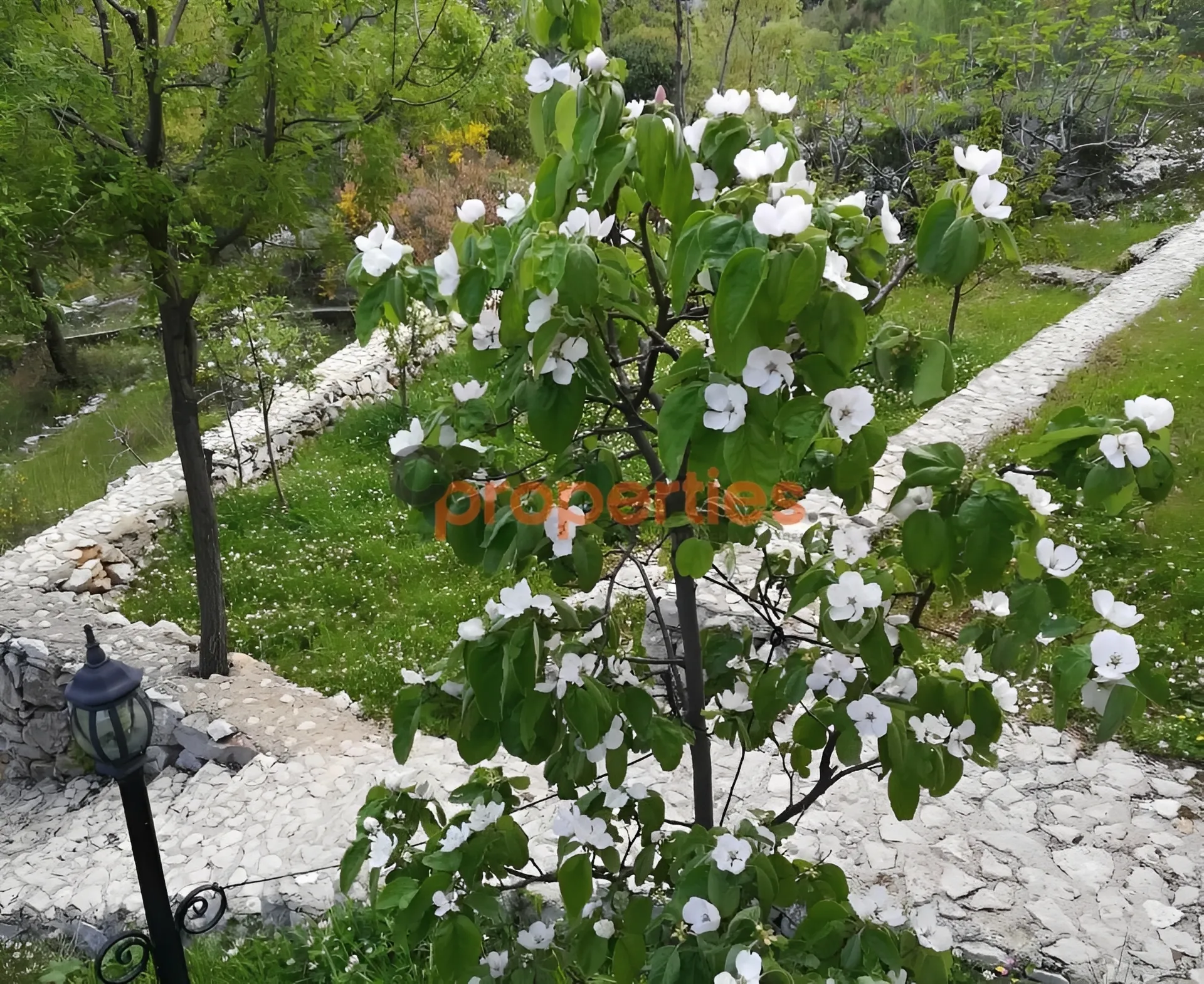 Villa for Sale in Zabbougha, Lebanon