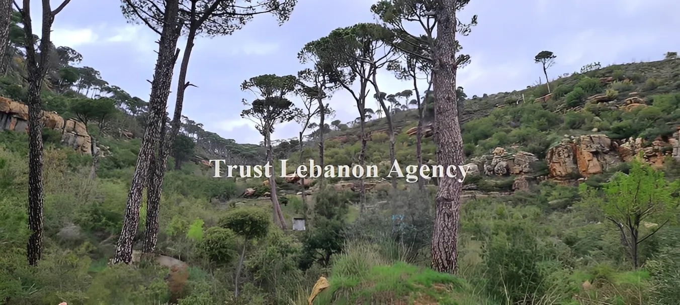 Land for Sale in Metn Al Kaakour Lebanon