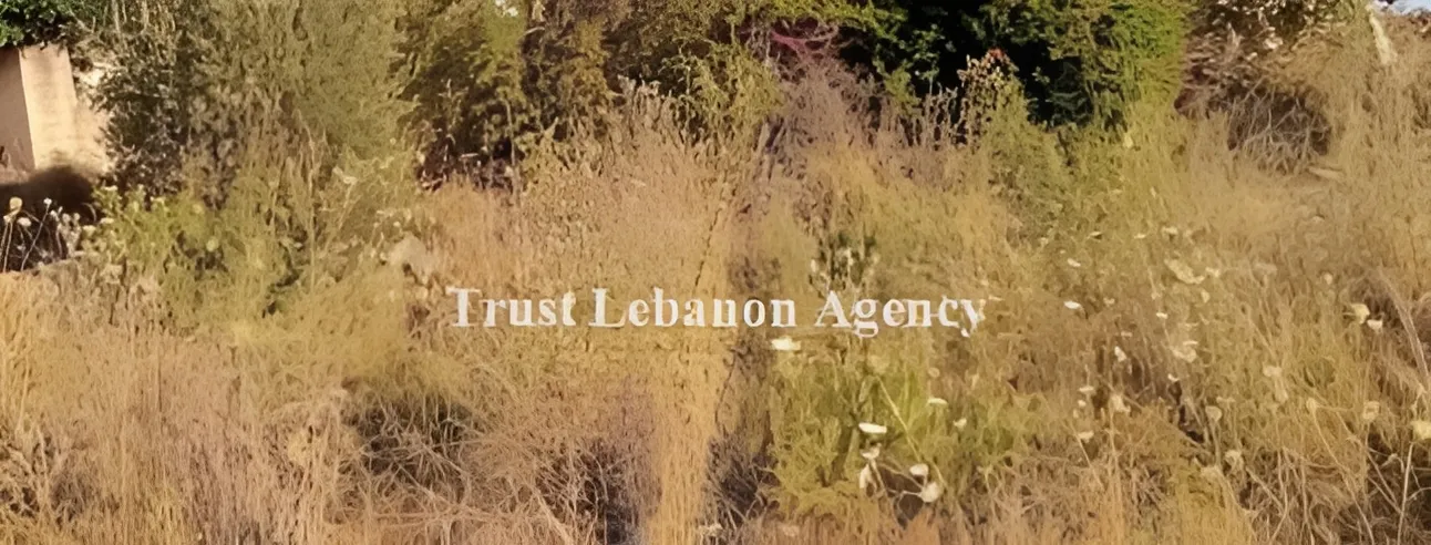Land for Rent in Alay, Ain Ounoub