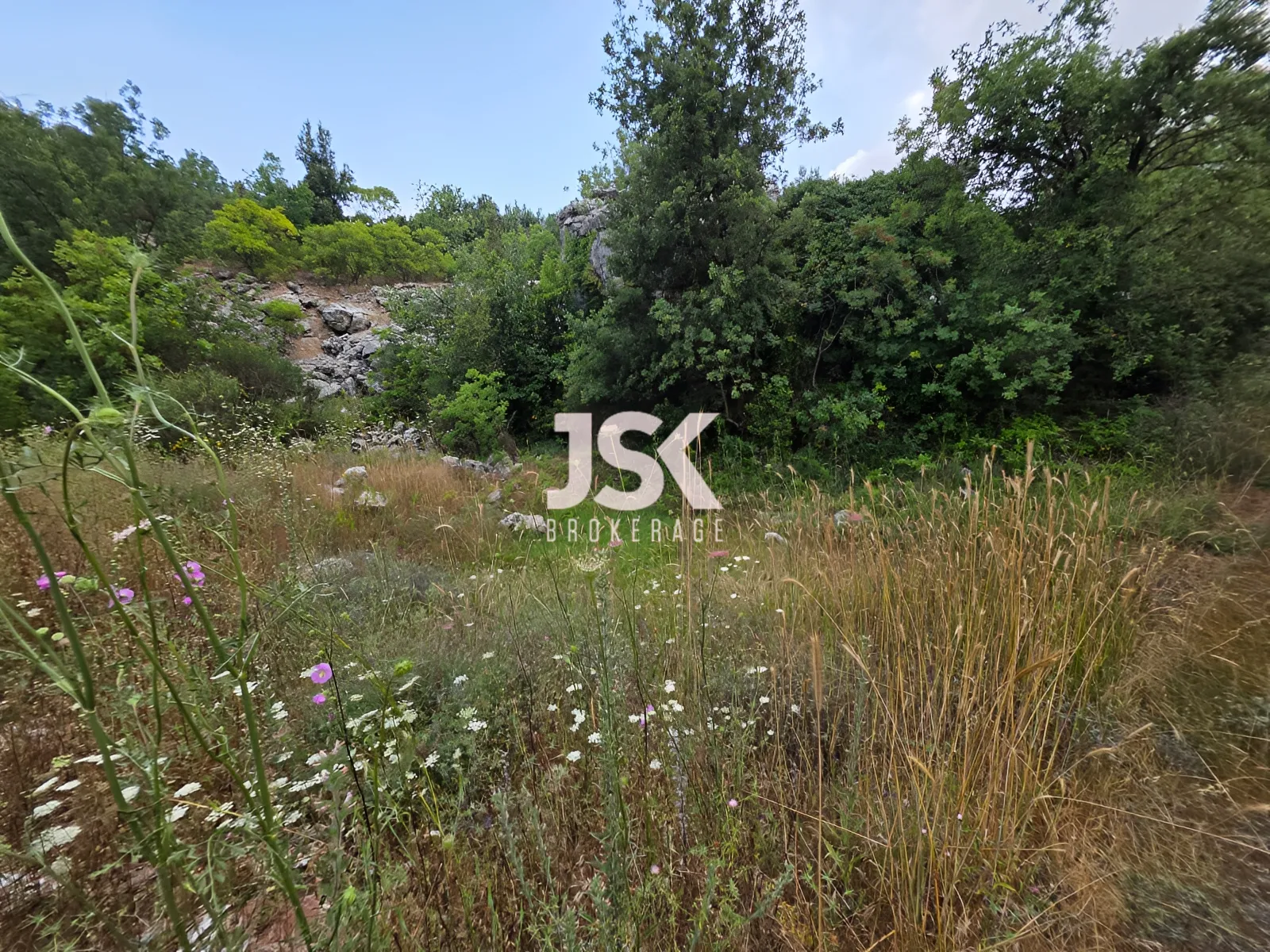 Land for Sale in Faitroun