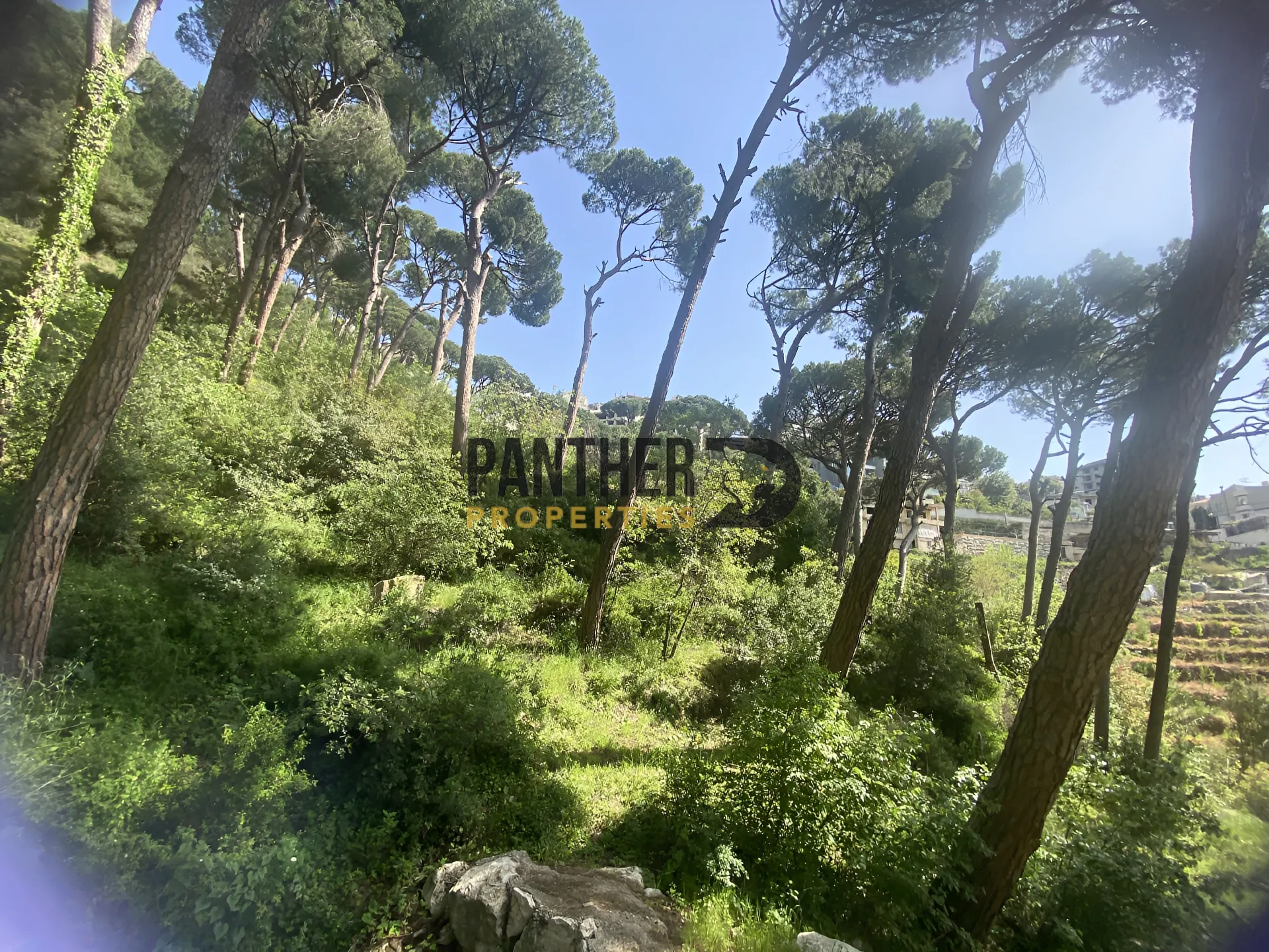 Land for sale in Ain saadeh, lebanon