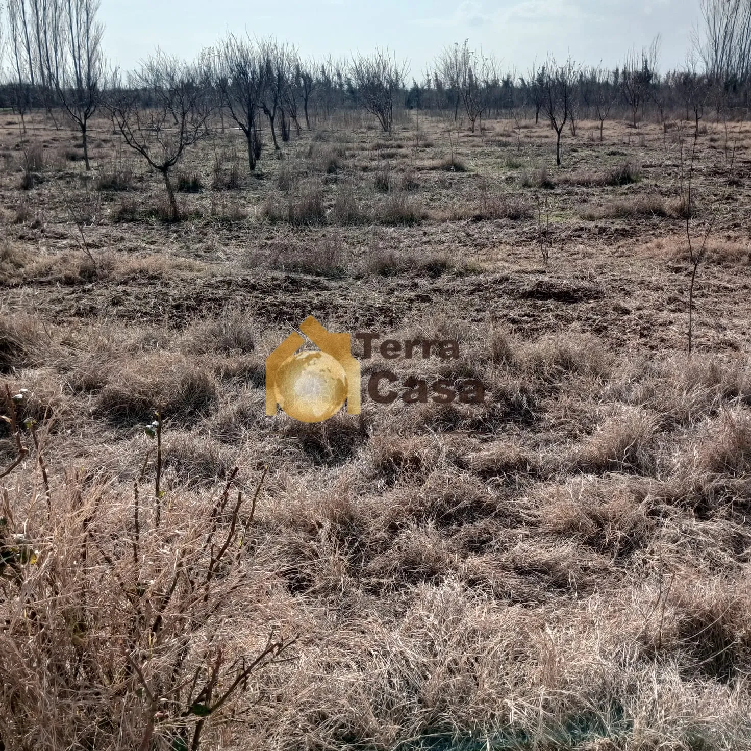 Land for sale in Kabelias, Lebanon