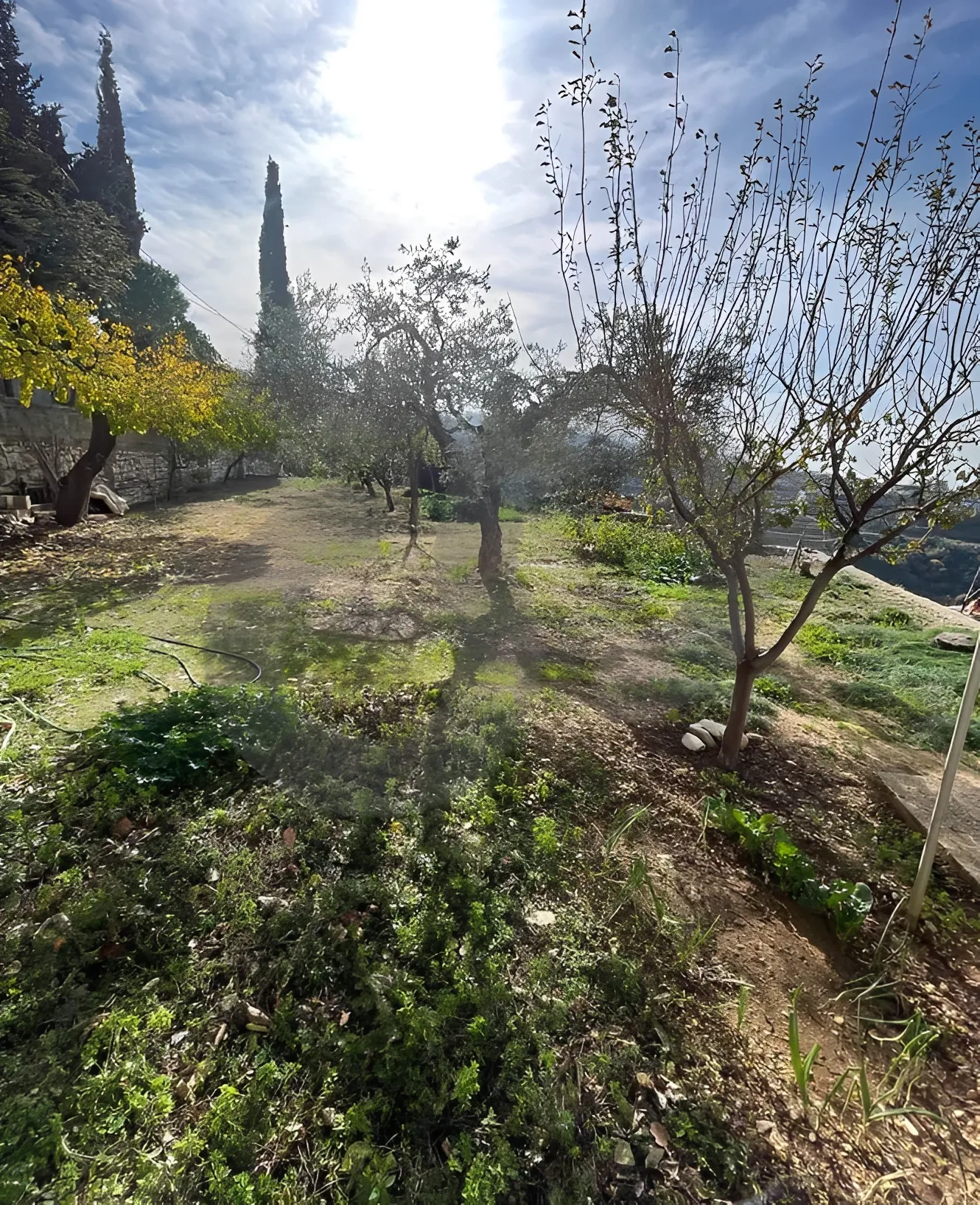 Apartment for Sale in Byblos