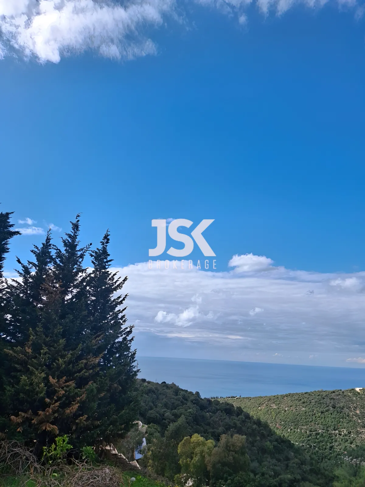 Villa for Sale in Smar Jbeil