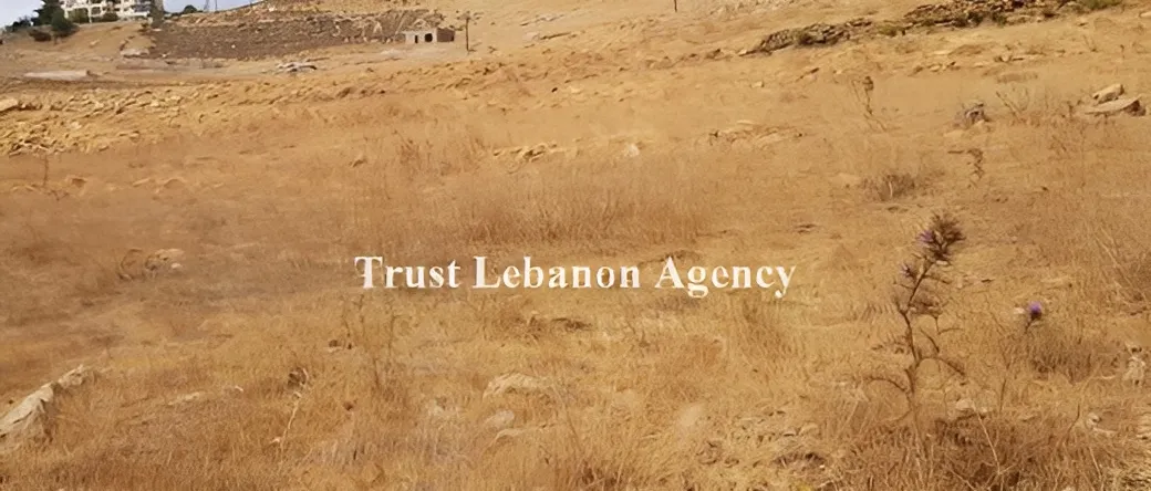 Land for Sale in Sawfar Alay