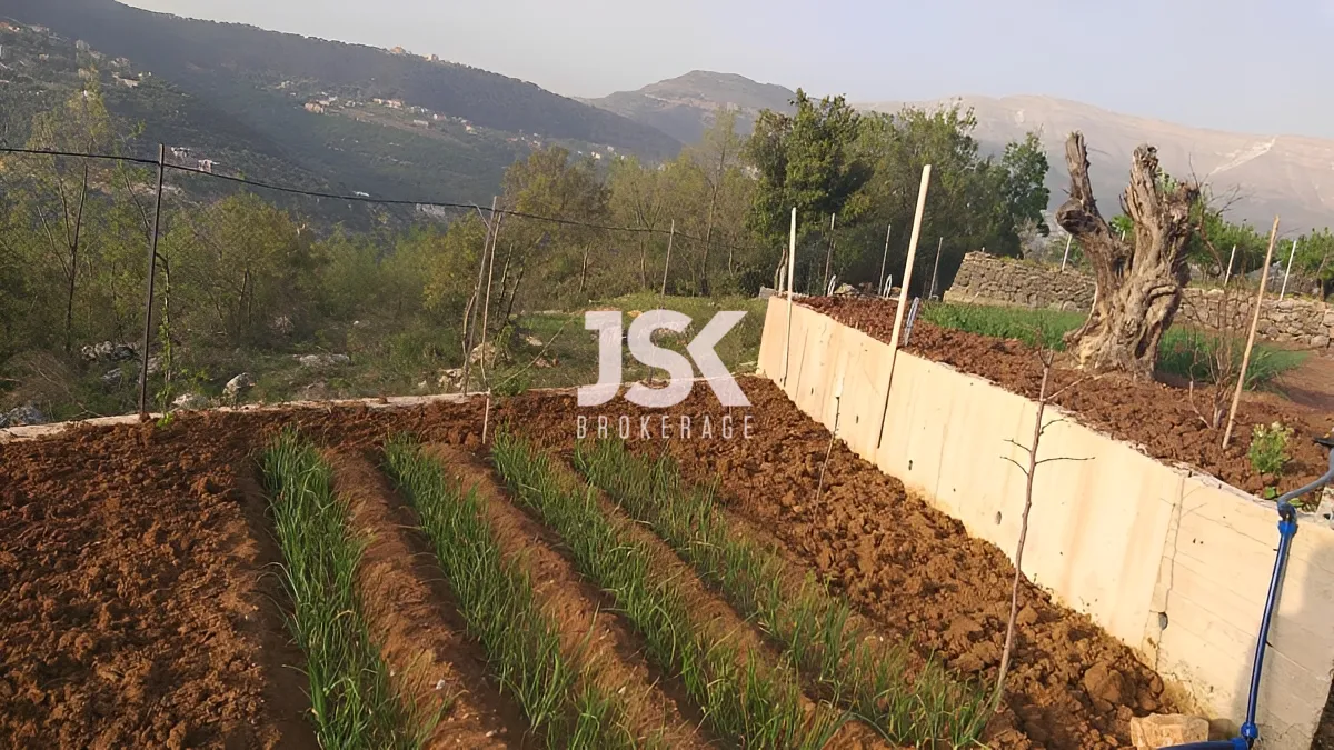 Land for Sale in Bteghrine, Lebanon