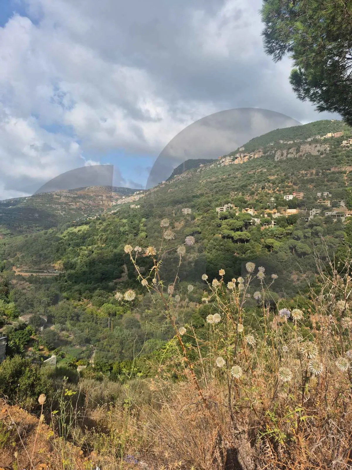 Land for Sale in Rmayleh