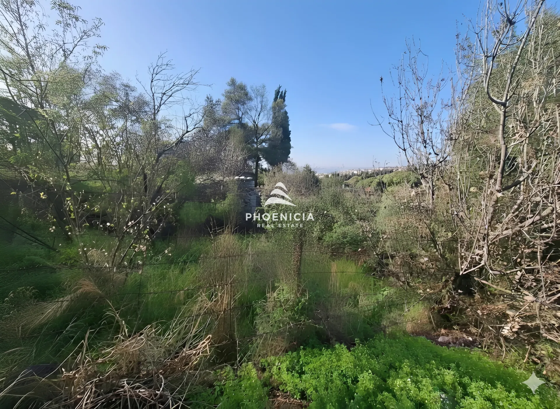 Land for Sale in Batroun