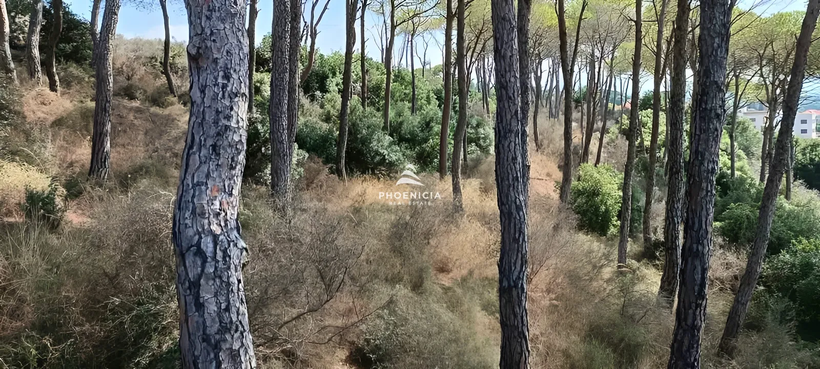 Land for Sale in Gharzouz