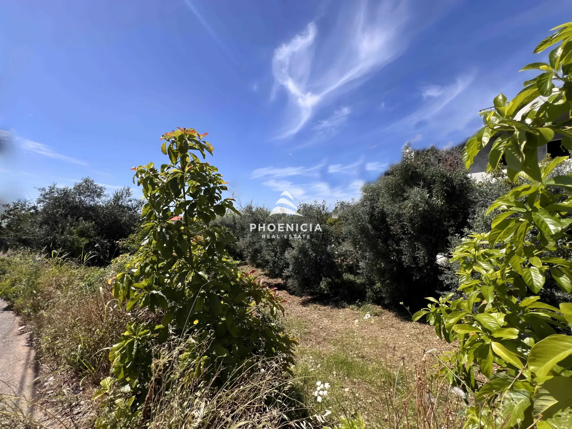 Land for Sale in Batroun