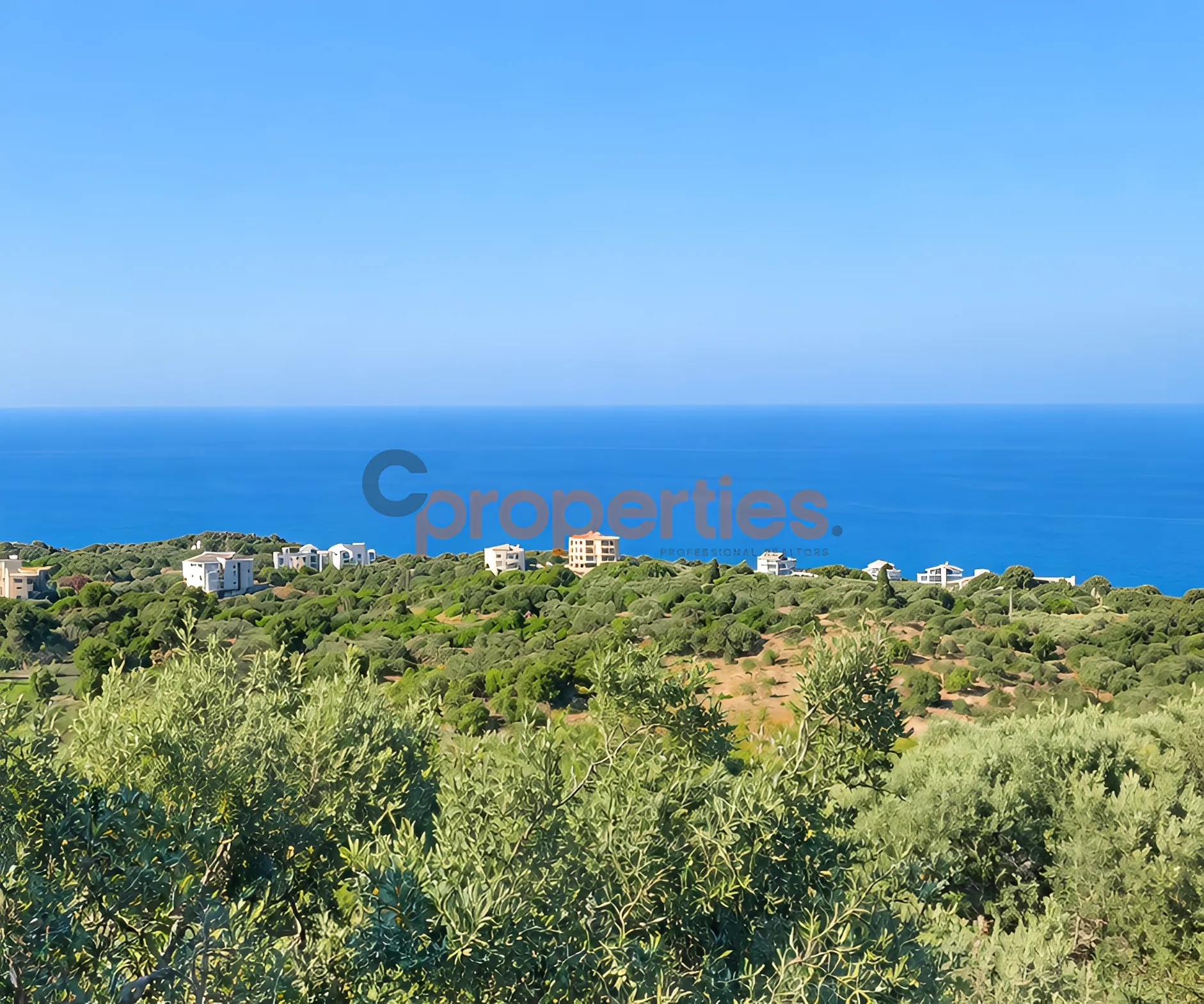 Residential Land for Sale in Monsef
