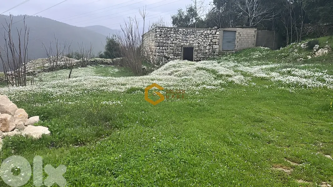 Land for Sale in Maifouq