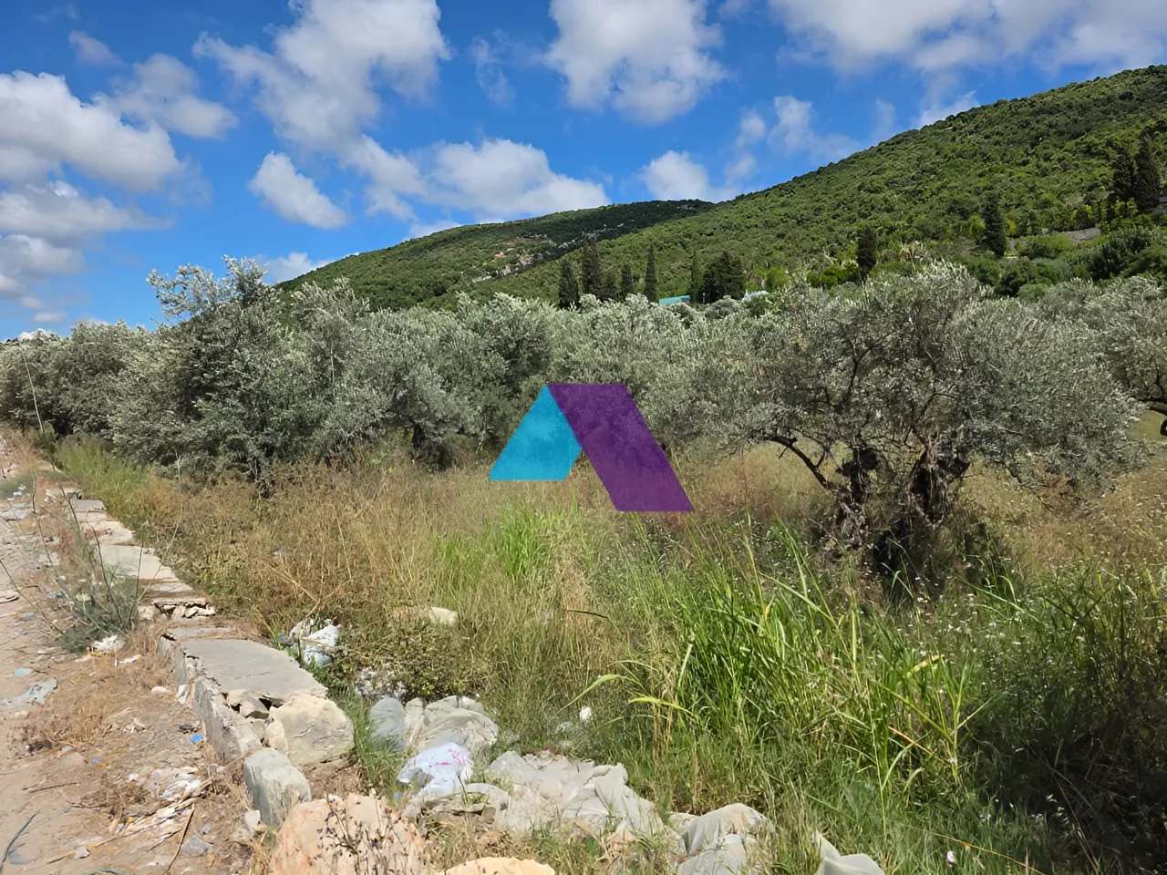 Land for Sale in Batroun