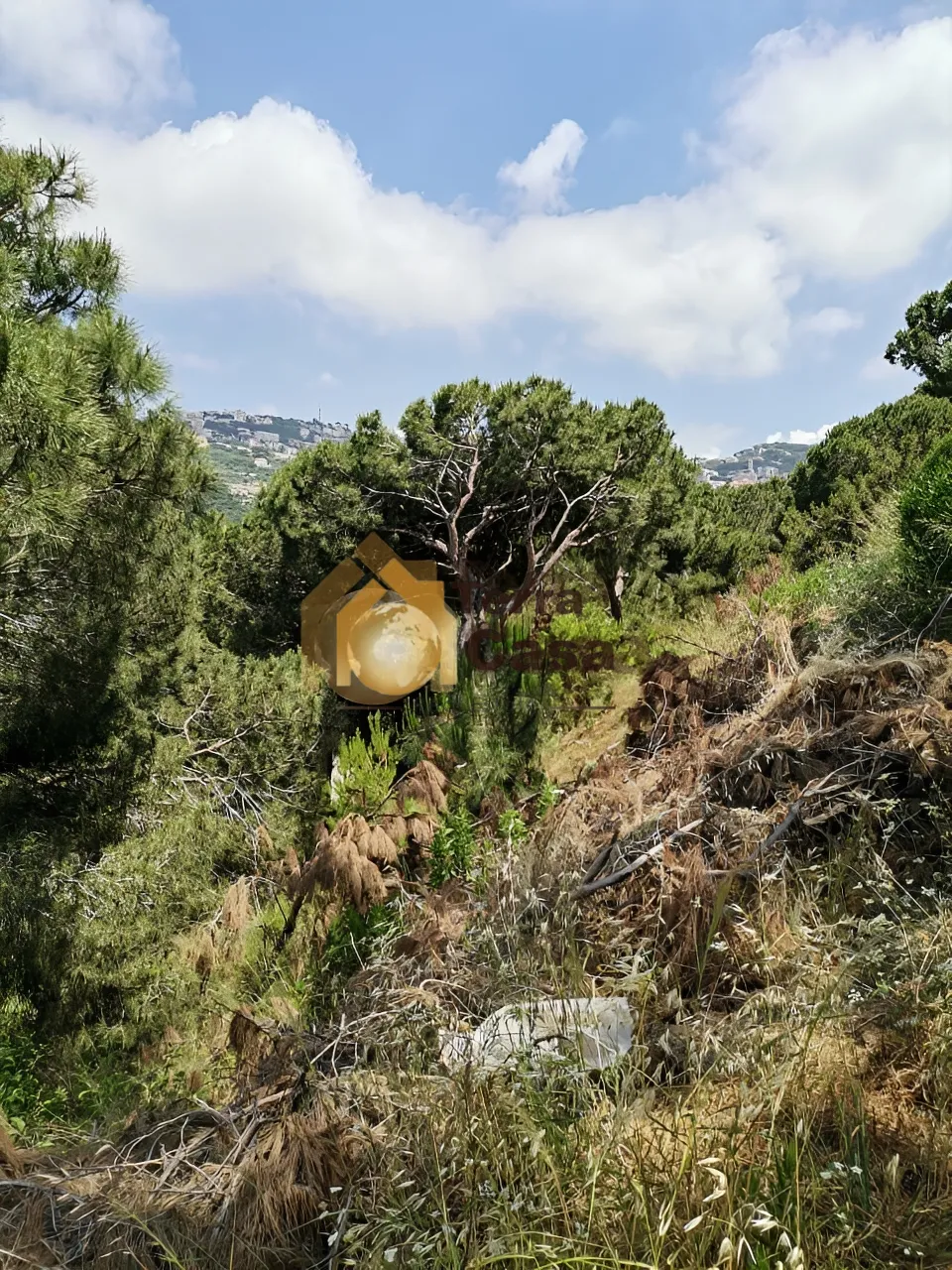Land for sale in Ain Saadeh