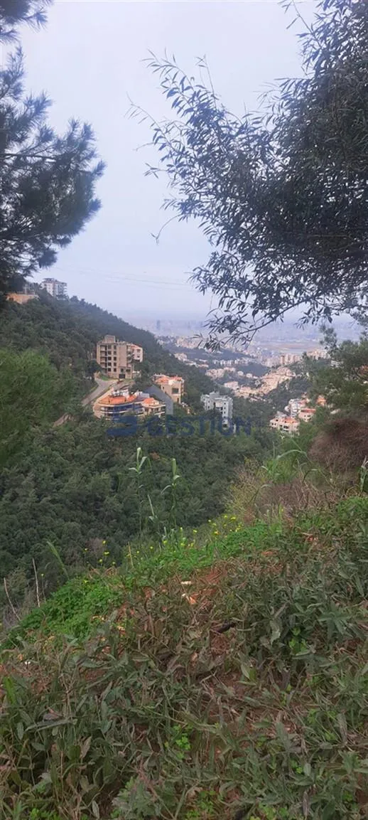 Land for Sale in Bayada