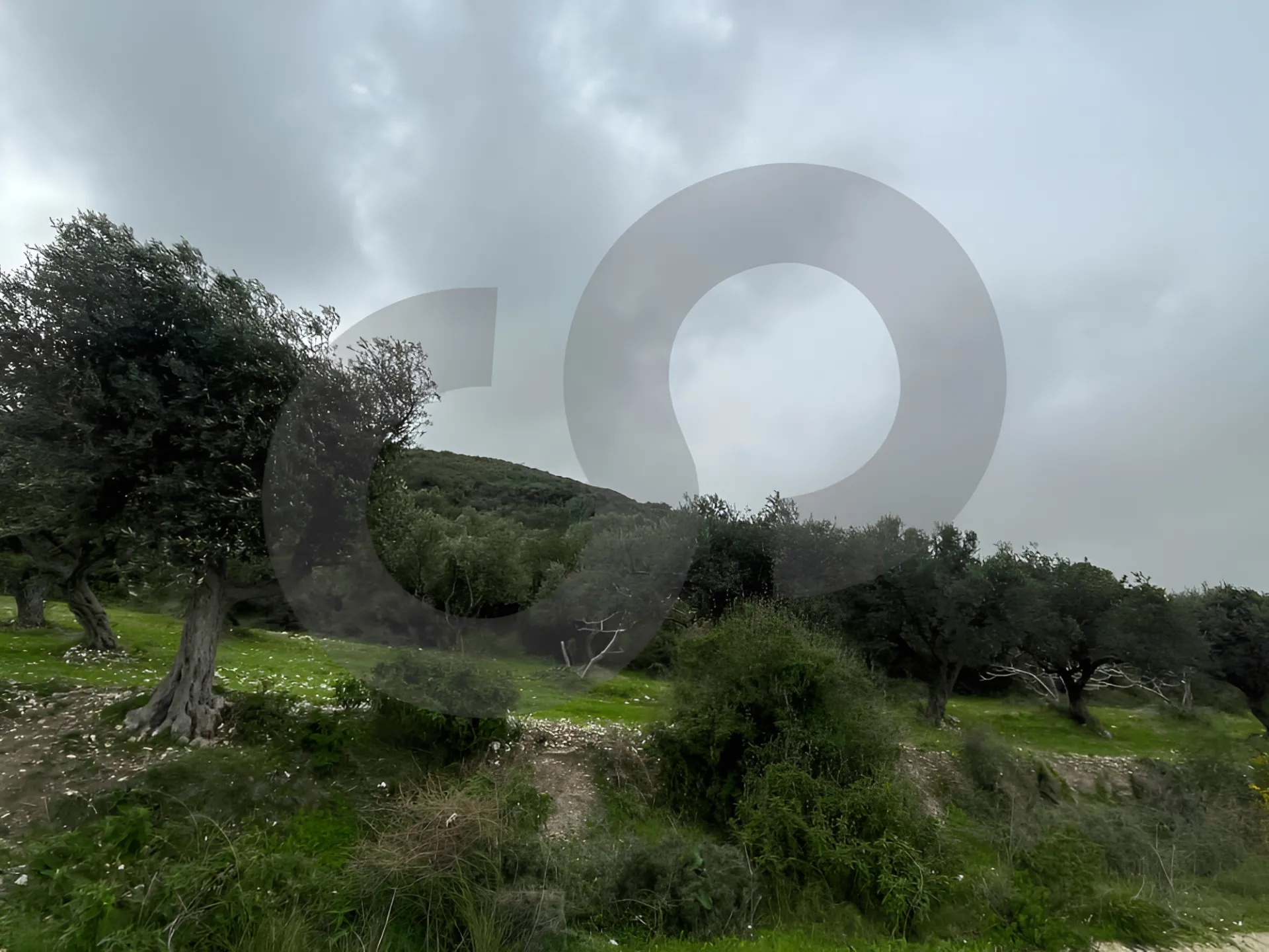 Land for Sale in Chekka