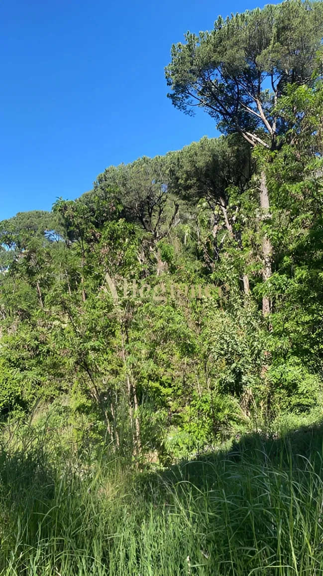 Residential Land for sale in Baabdat, Lebanon