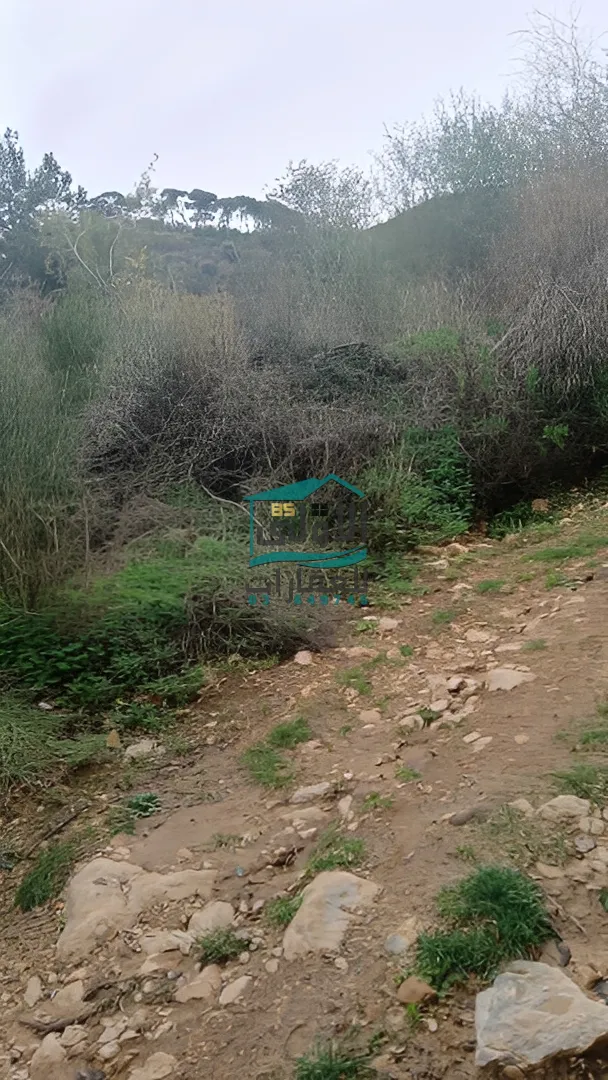 Land in Daqqoun, lebanon