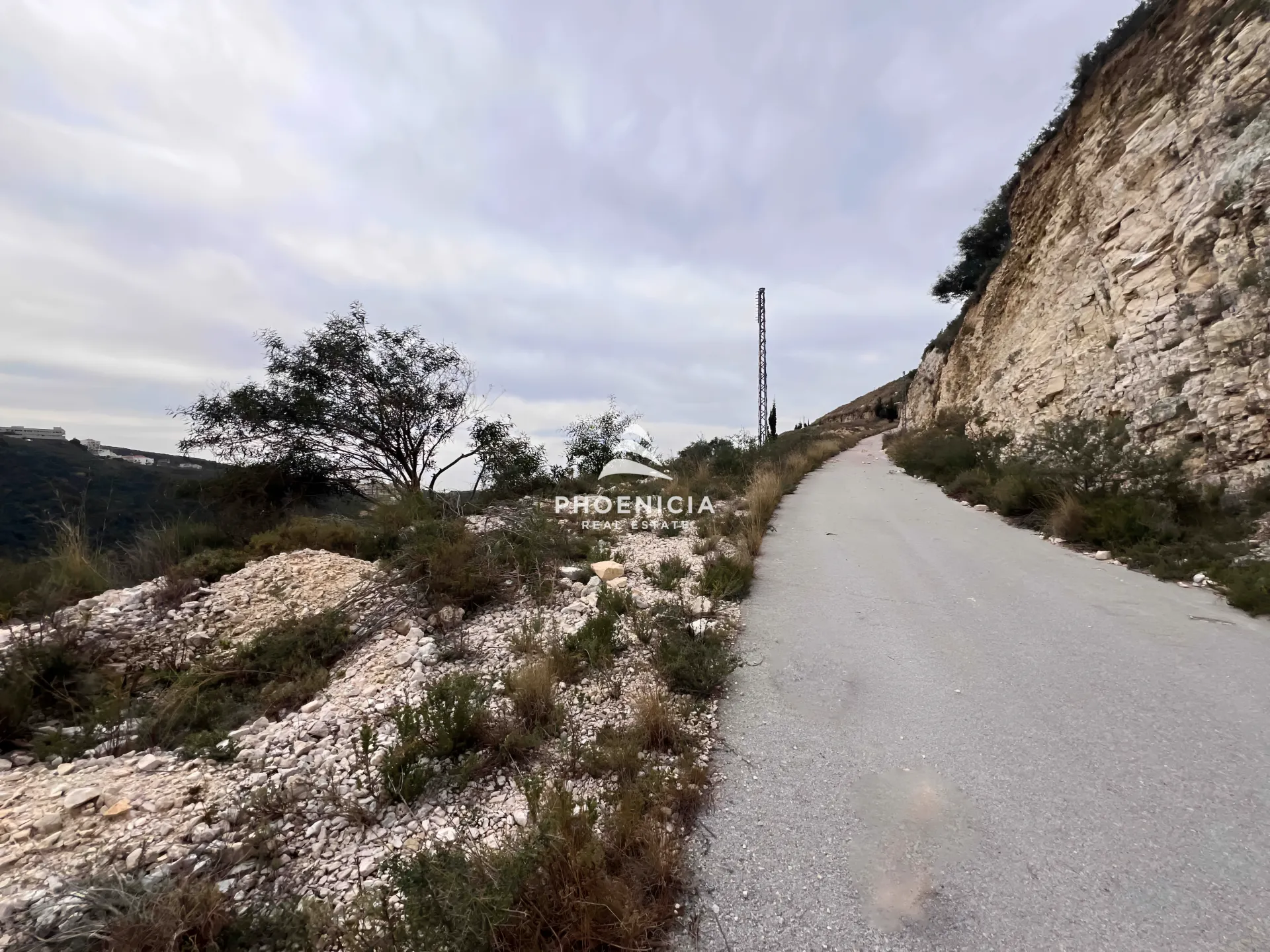 Land for Sale in Edde