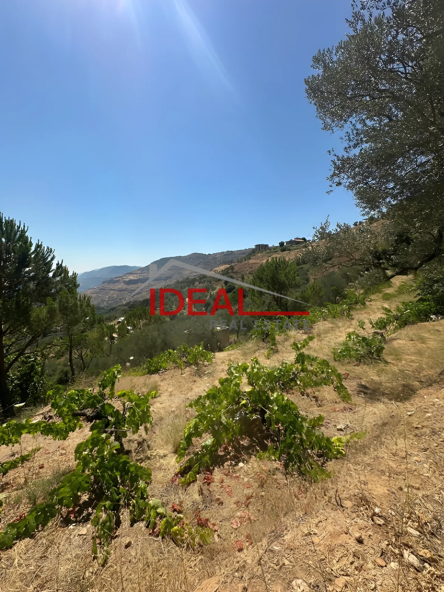Land for Sale in Ighmid, Lebanon
