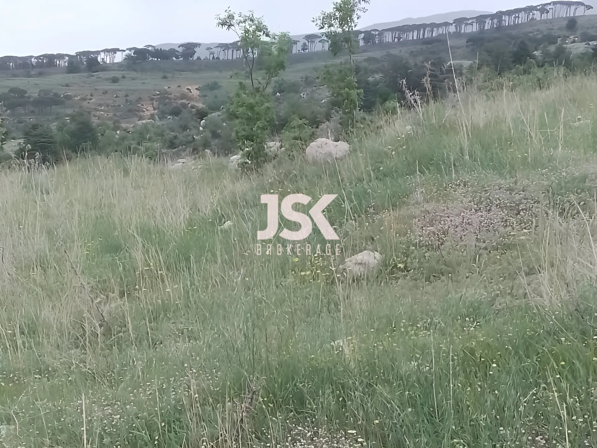 Land for Sale in Bsharri
