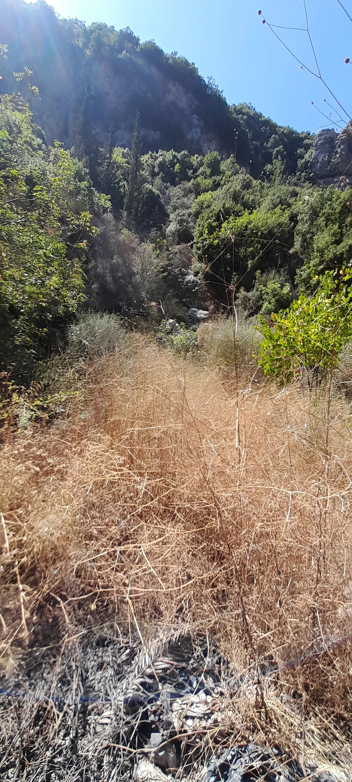 Land for sale in Yahchouch, lebanon