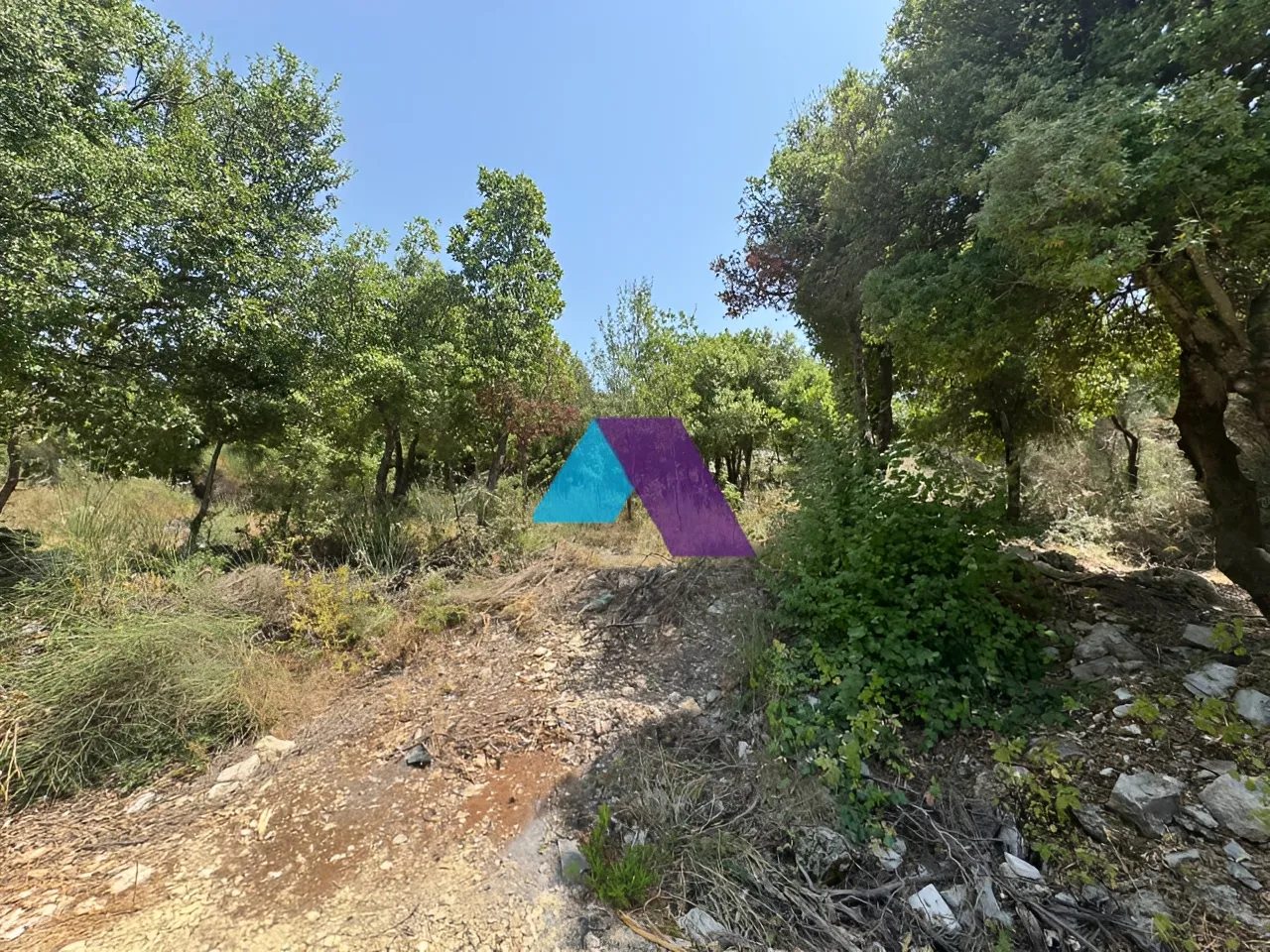 Land for Sale in Mechmech