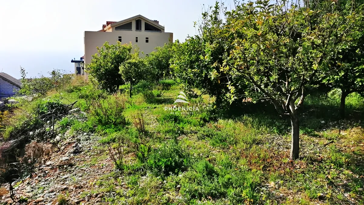 Land for Sale in Blat