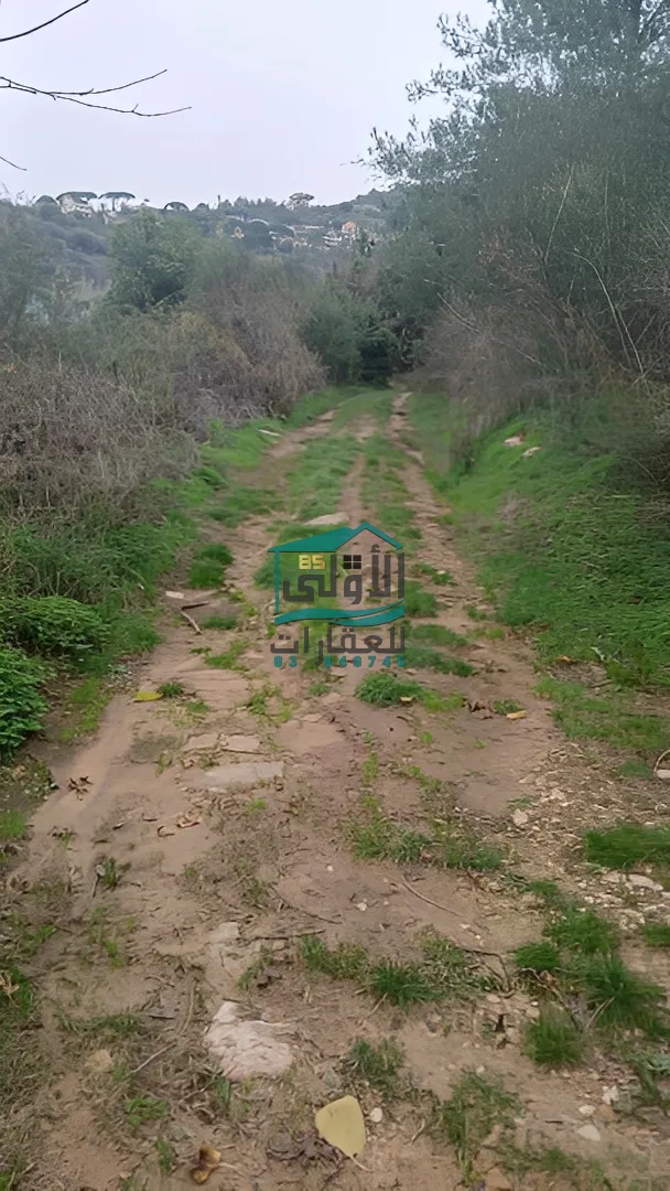 Land in Daqqoun, lebanon