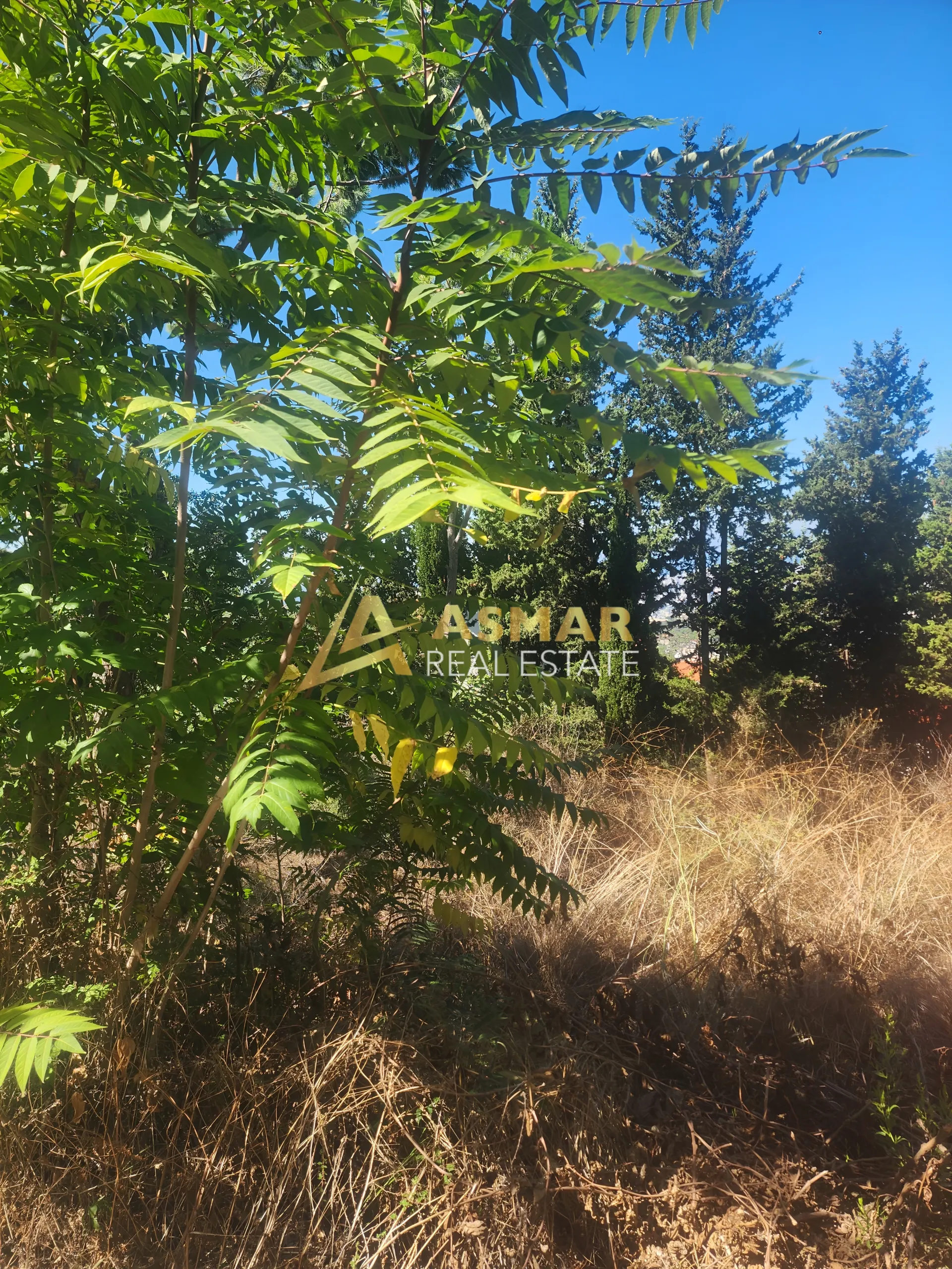 Land for sale in Mkalles, lebanon