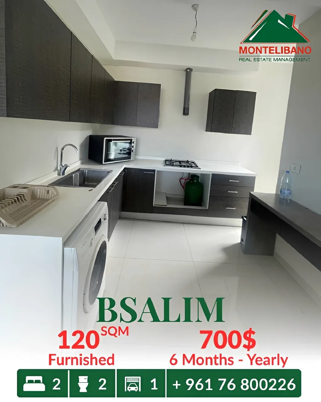 Apartment for rent in Bsalim