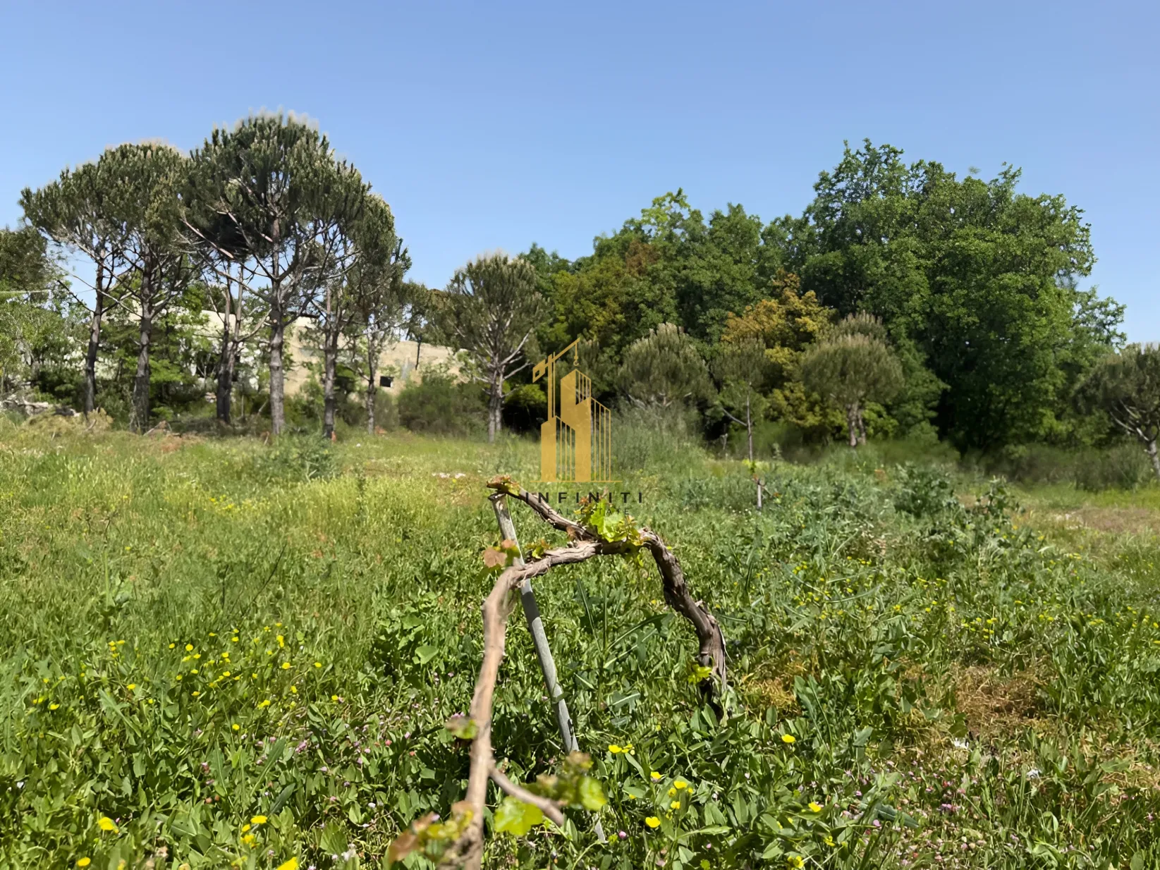 Residential Land for sale in Saoufar, Lebanon