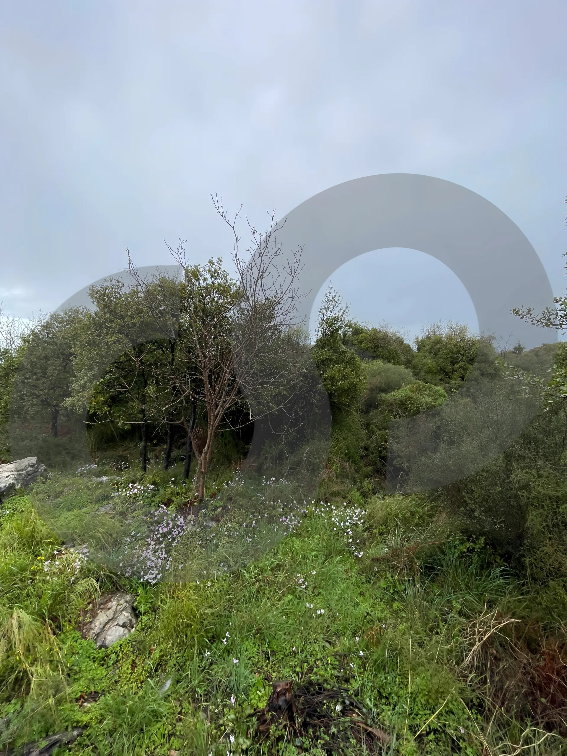 Land for Sale in Byblos