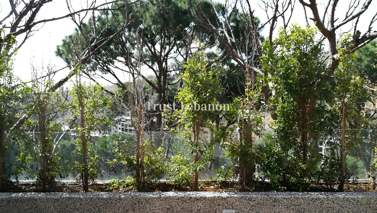 Apartment for rent in Mansourieh