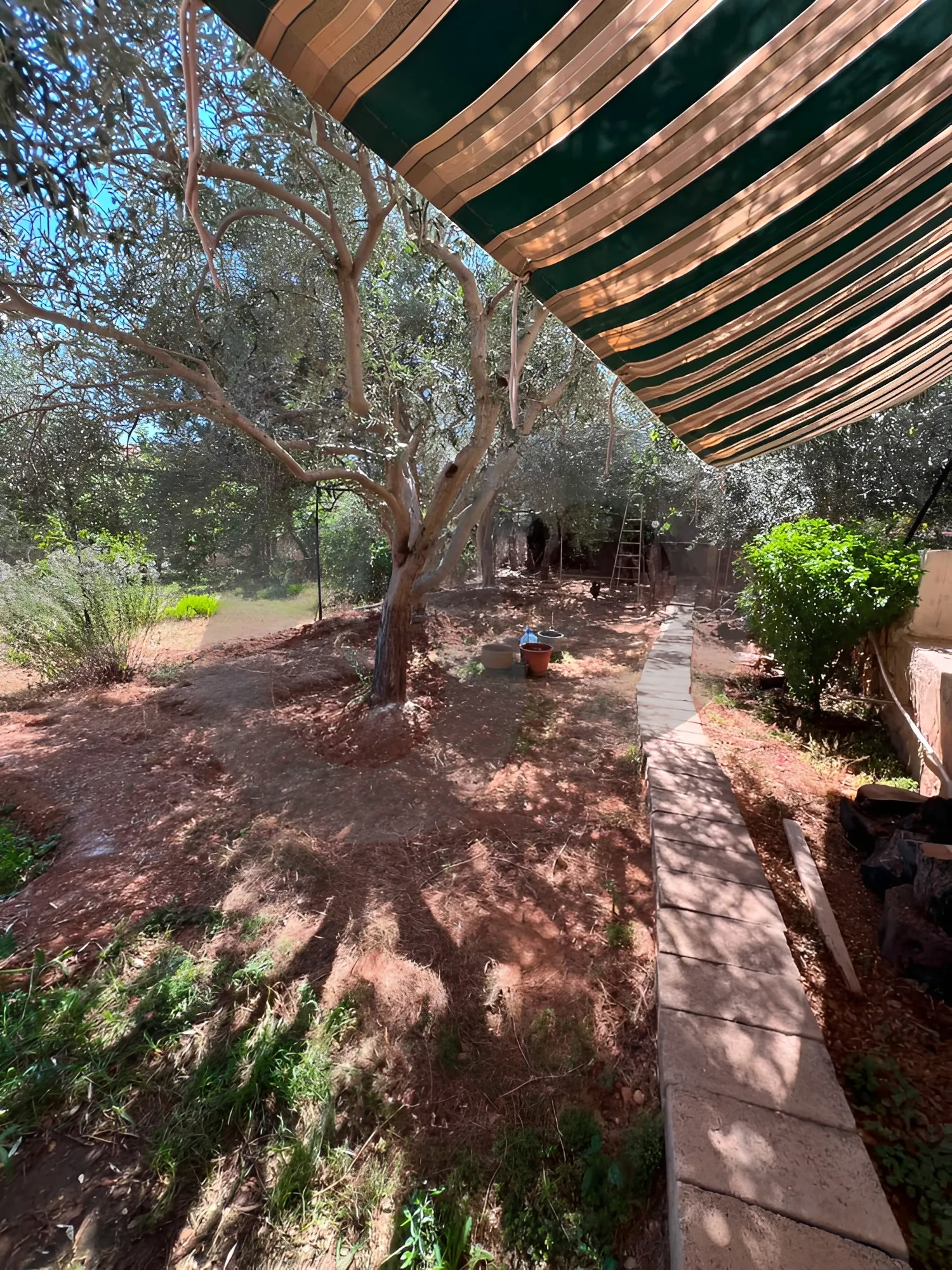 Building for Sale in Dfoun
