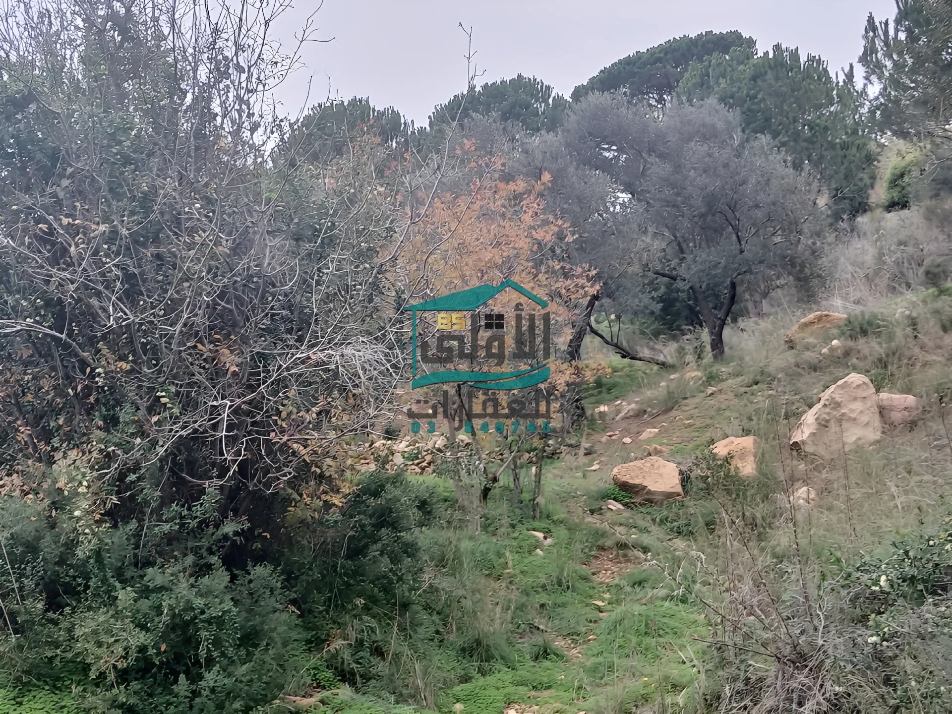 Land in Daqqoun, lebanon