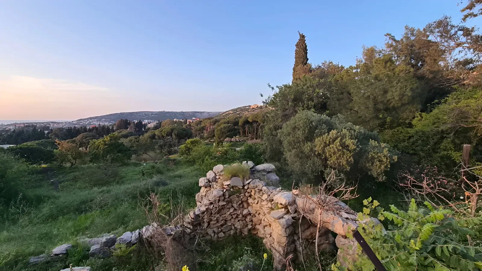 Land for Sale in Batroun