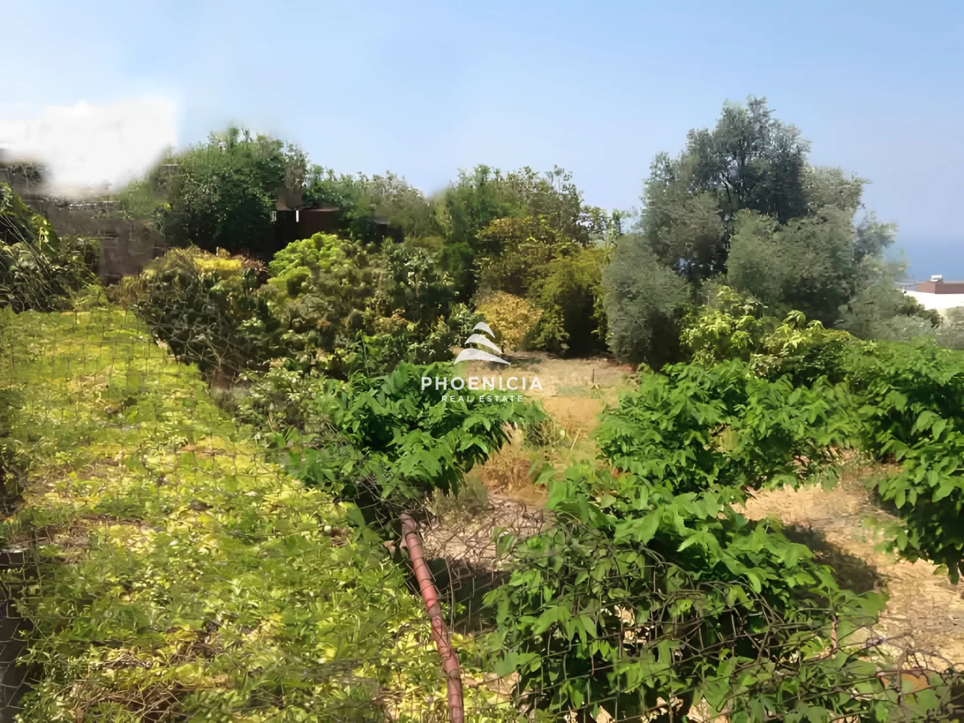 Land for Sale in Blat