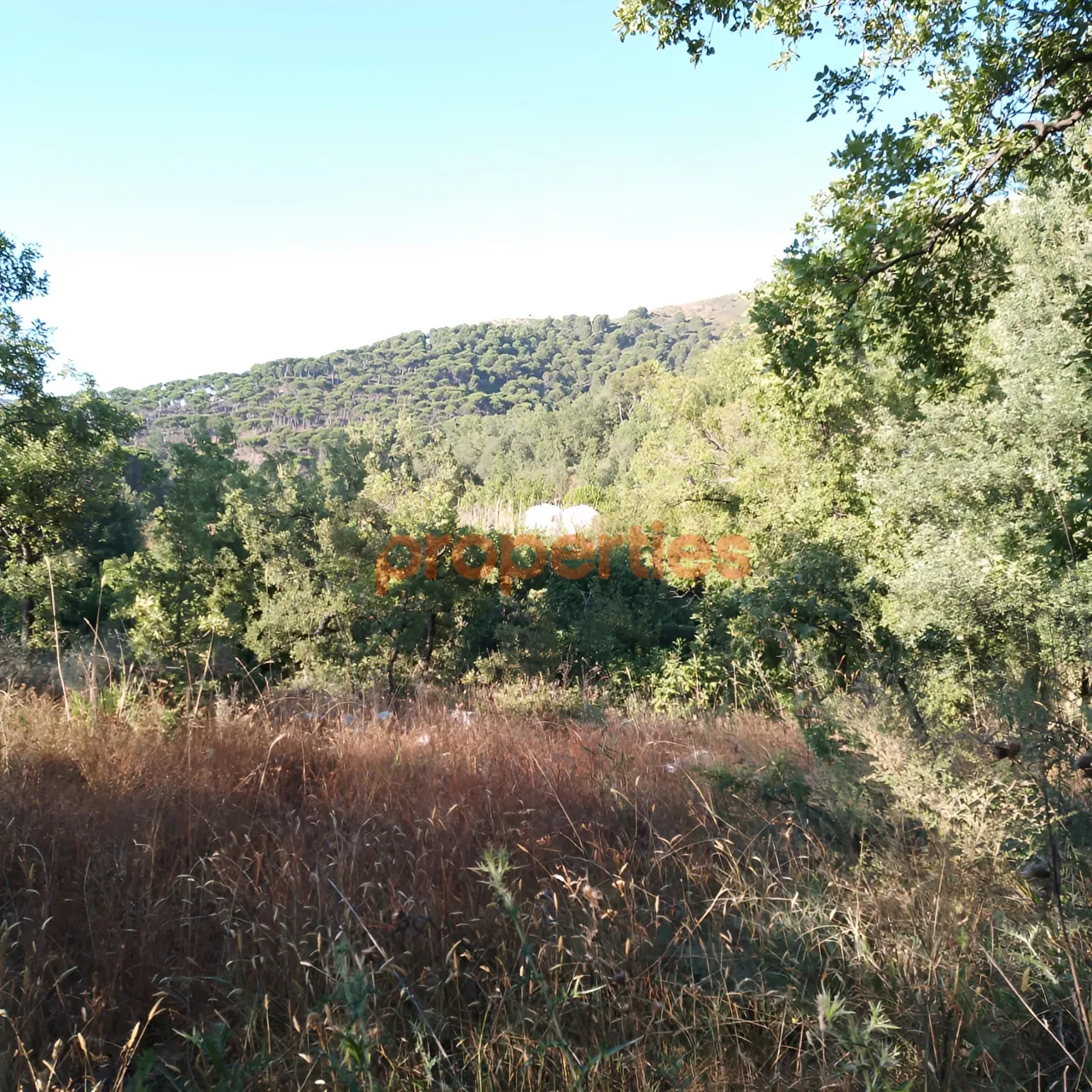 Residential Land for Sale in Baskinta