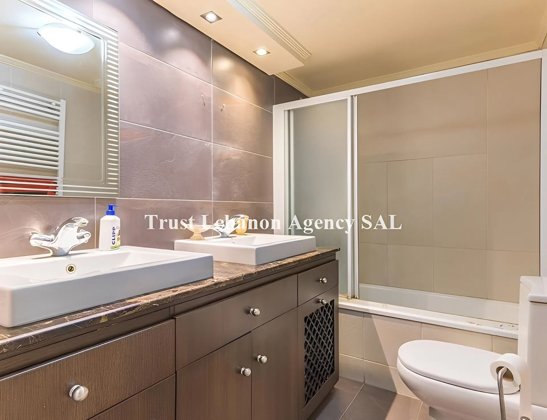 Apartment for Rent in Metn Monteverde Lebanon