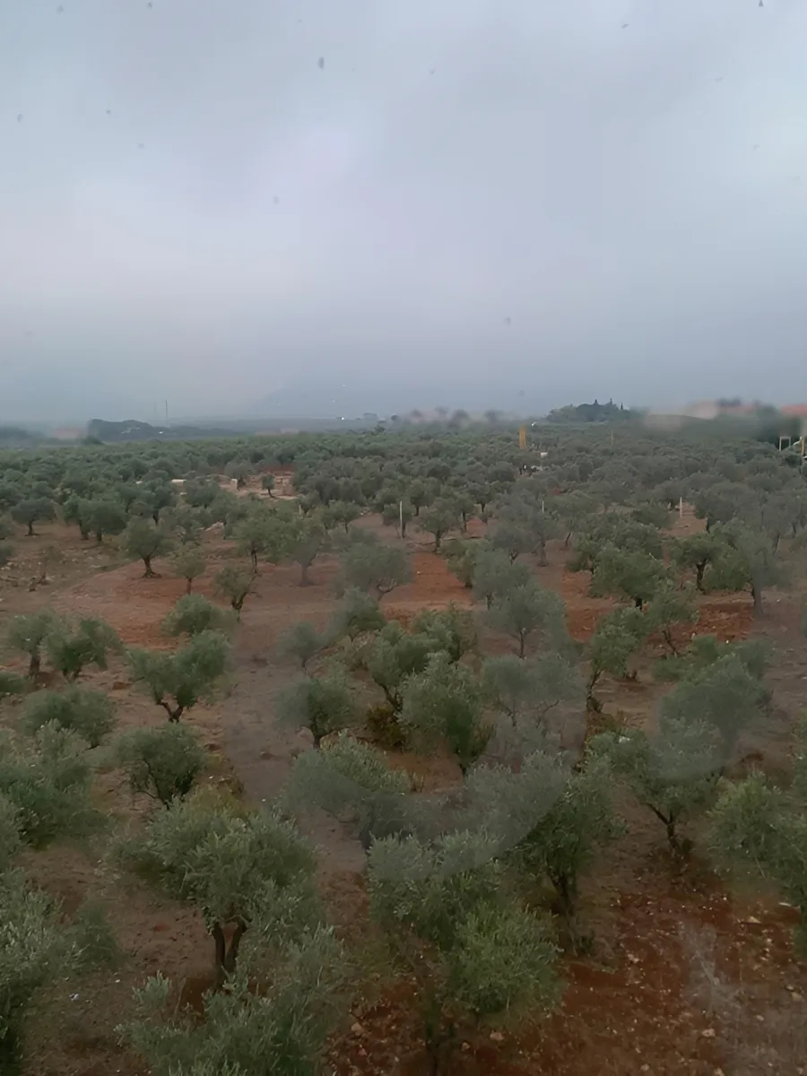 Apartment for Sale in Bsarma, Lebanon