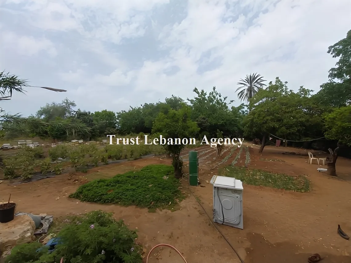 Land for Rent in Metn Naccache Lebanon