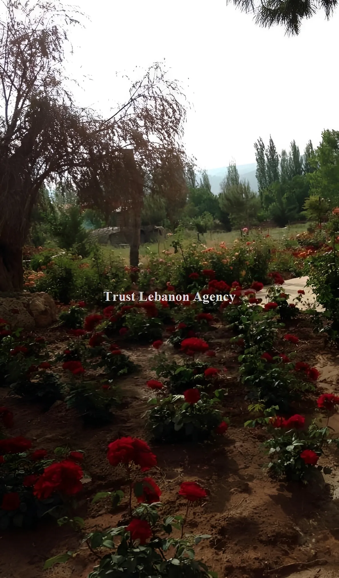 Villa for Sale in Zahle