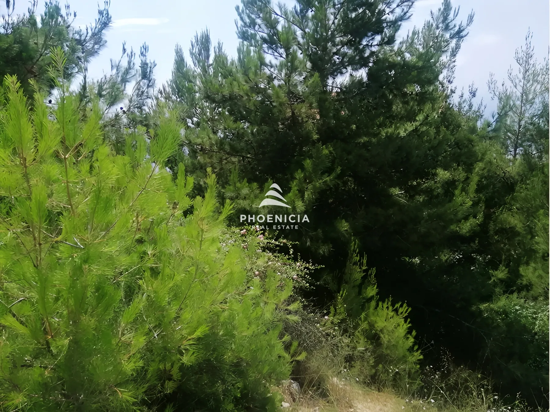 Land for Sale in Blat