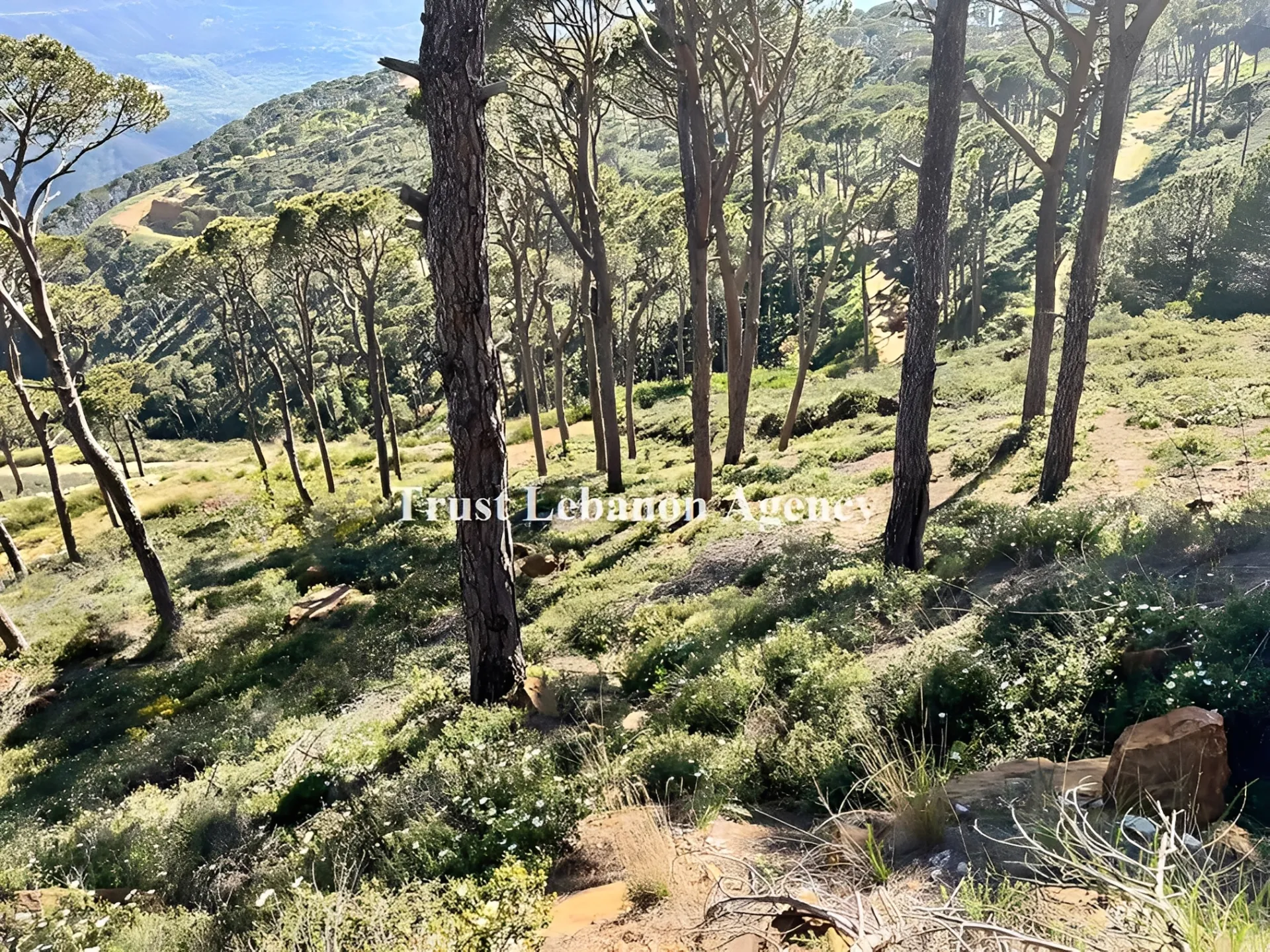 Land for Sale in Metn Al Kaakour Lebanon