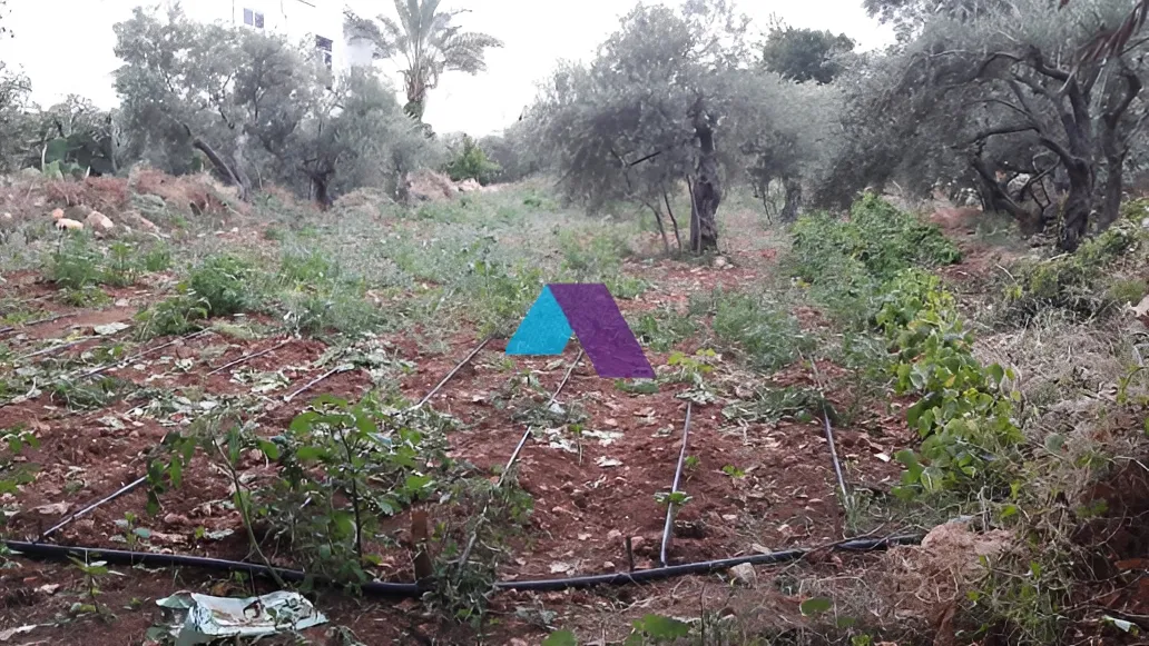 Land for Sale in Aamchit