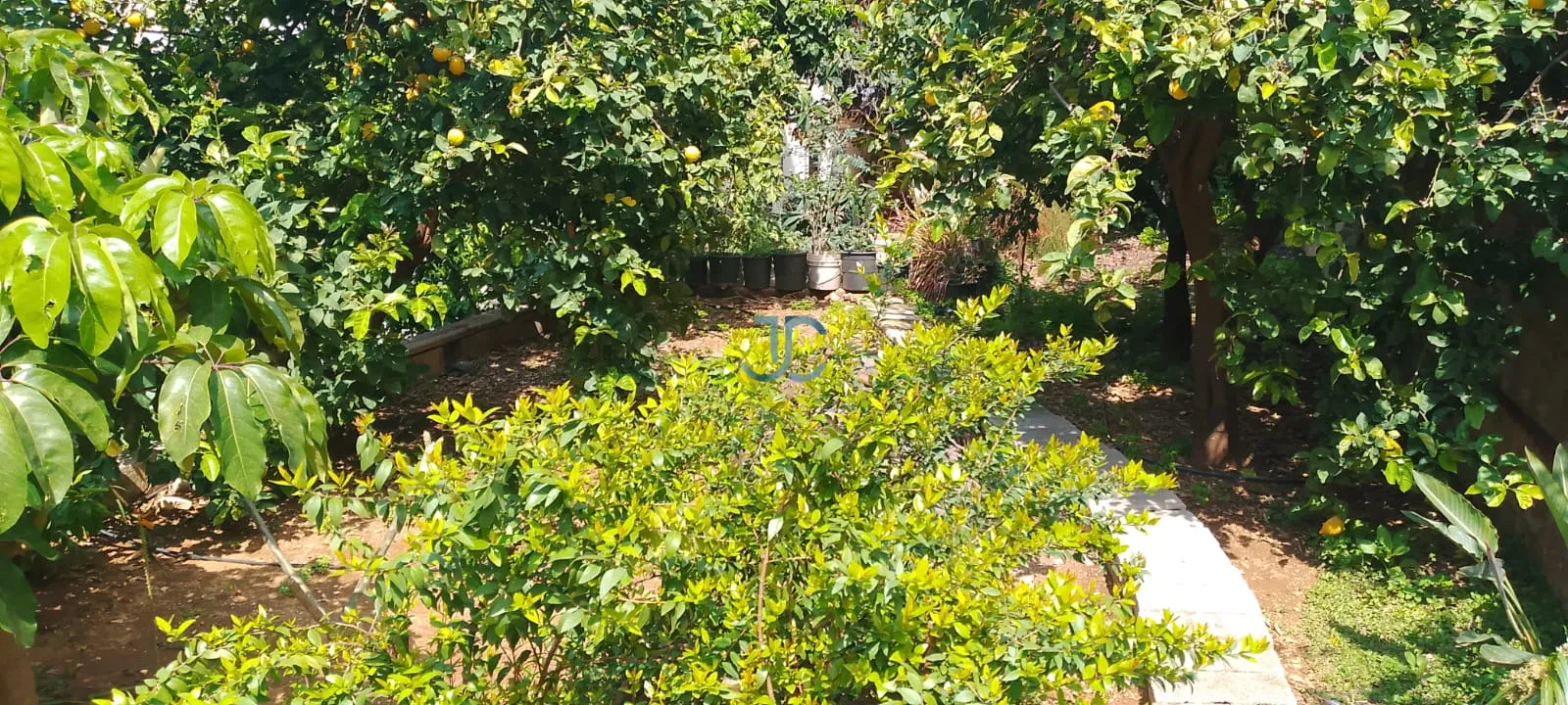 Land for sale in Sahel alma, lebanon