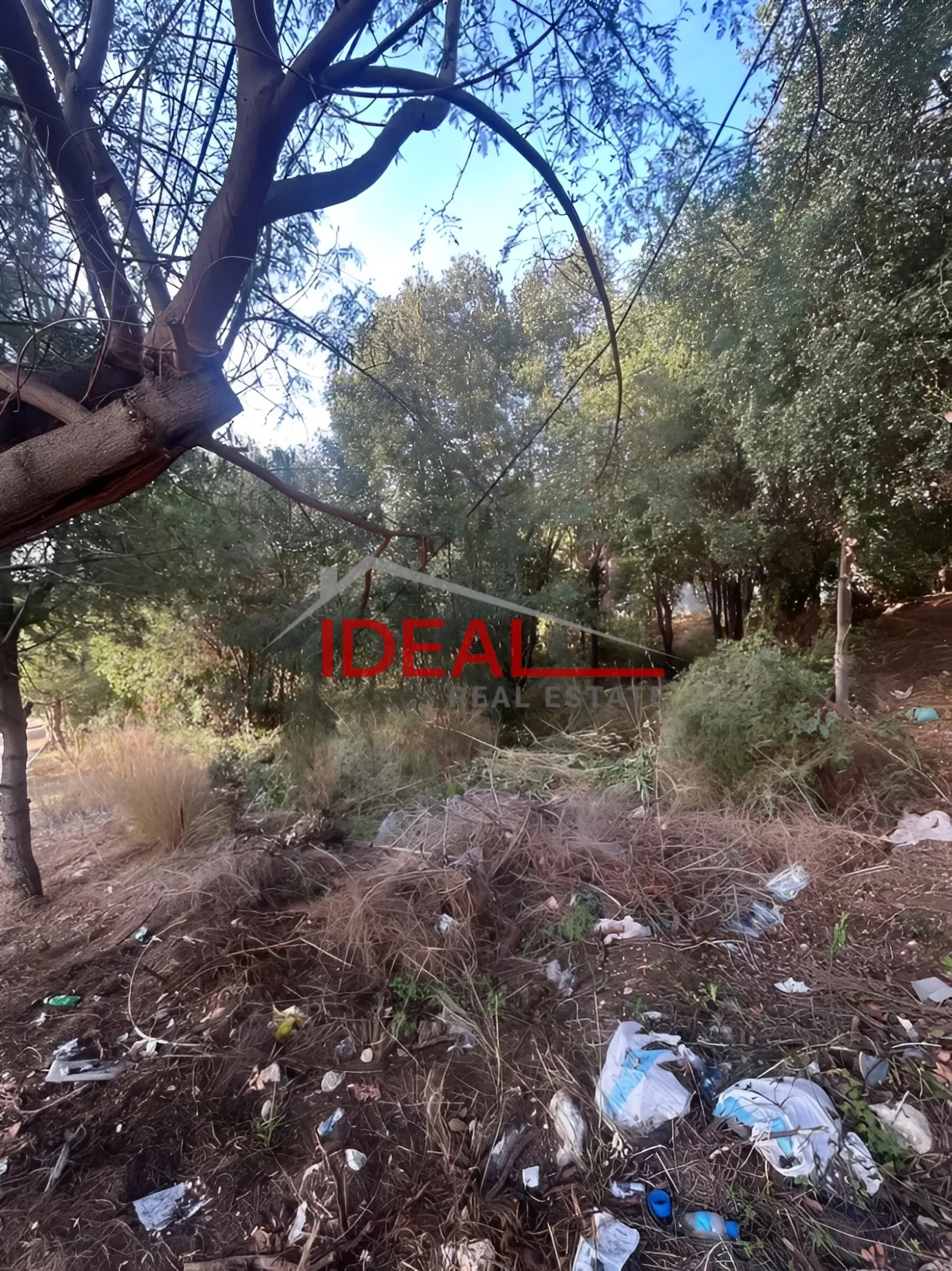 Land for Sale in Sehayleh, Lebanon
